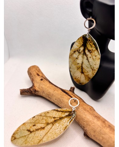 PENDIENTES ARTESANALES DE HOJA NATURAL ESQUELETIZADA