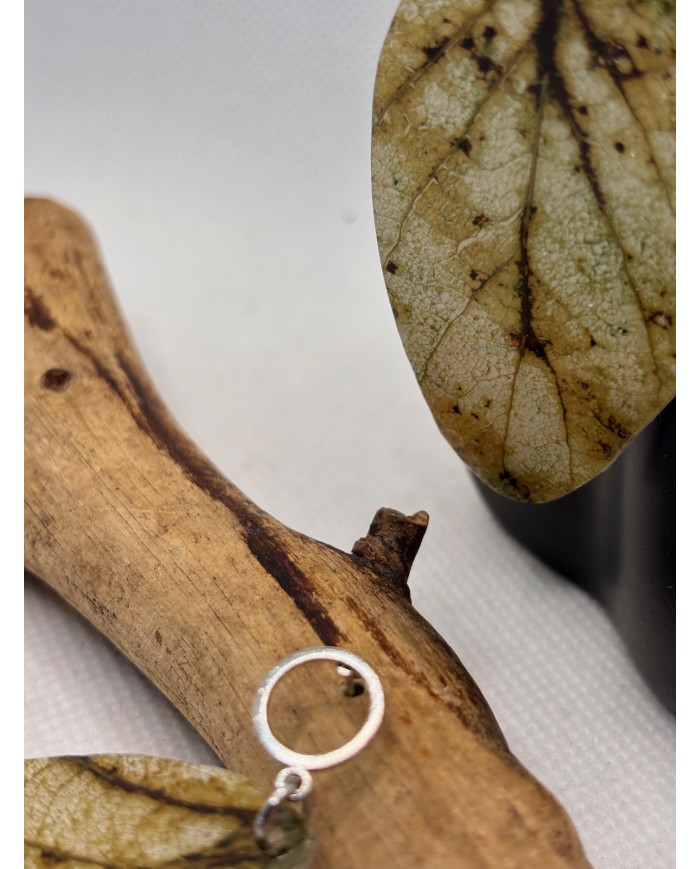 PENDIENTES ARTESANALES DE HOJA NATURAL ESQUELETIZADA