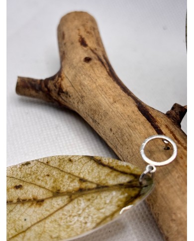 PENDIENTES ARTESANALES DE HOJA NATURAL ESQUELETIZADA
