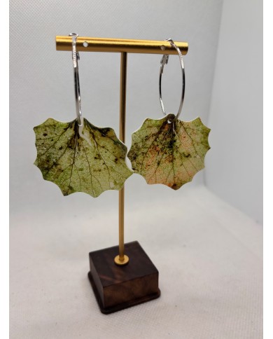 PENDIENTES ARTESANALES DE HOJA NATURAL DE ÁLAMO