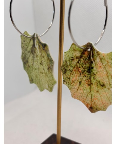 PENDIENTES ARTESANALES DE HOJA NATURAL DE ÁLAMO