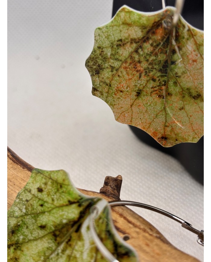 PENDIENTES ARTESANALES DE HOJA NATURAL DE ÁLAMO