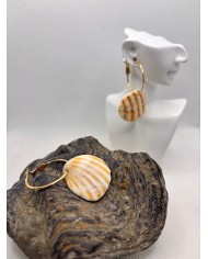 PENDIENTES ARTESANOS DE CONCHAS DEL MAR DESGASTADAS