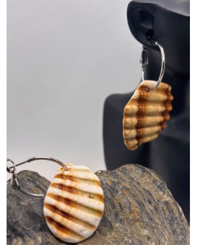 PENDIENTES ARTESANOS DE TROCITOS DE CONCHA DEL MEDITERRANEO