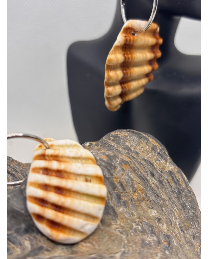 PENDIENTES ARTESANOS DE TROCITOS DE CONCHA DEL MEDITERRANEO