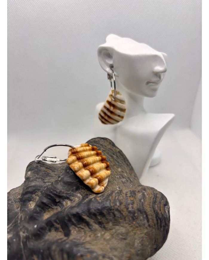 PENDIENTES ARTESANOS DE TROCITOS DE CONCHA DEL MEDITERRANEO