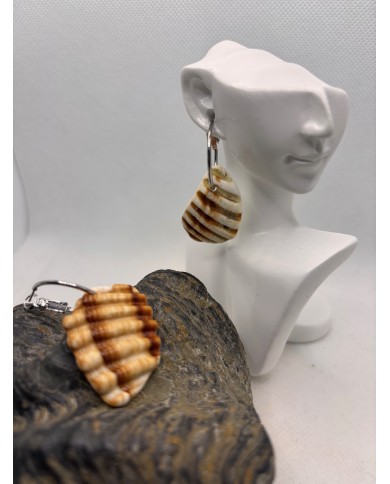 PENDIENTES ARTESANOS DE TROCITOS DE CONCHA DEL MEDITERRANEO