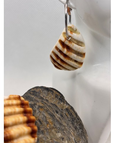 PENDIENTES ARTESANOS DE TROCITOS DE CONCHA DEL MEDITERRANEO