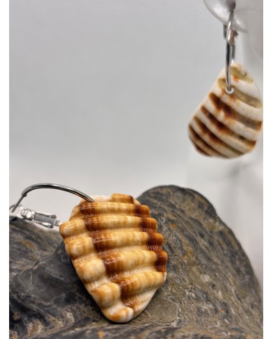 PENDIENTES ARTESANOS DE TROCITOS DE CONCHA DEL MEDITERRANEO