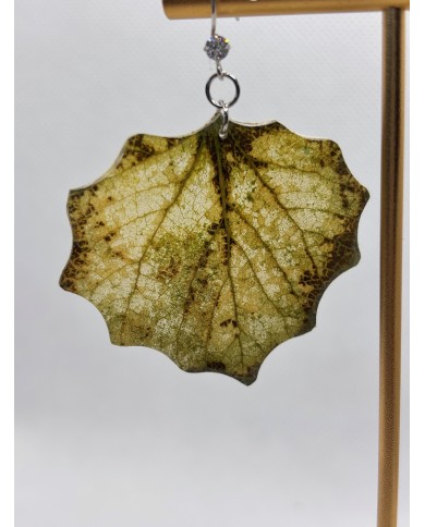 PENDIENTES ARTESANOS DE HOJA NATURAL ESQUELETIZADA