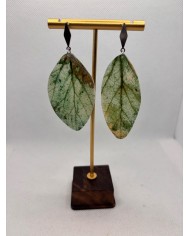 PENDIENTES ARTESANOS DE HOJA NATURAL ESQUELETIZADA