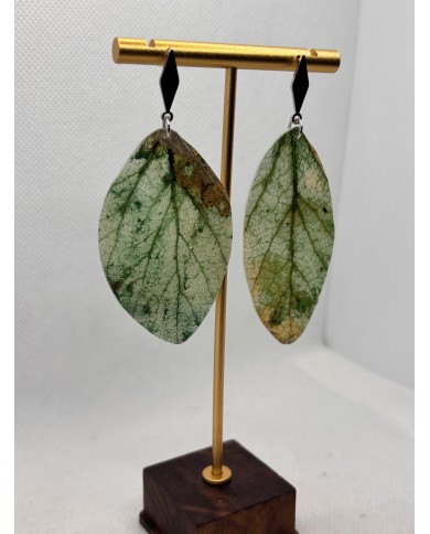 PENDIENTES ARTESANOS DE HOJA NATURAL ESQUELETIZADA