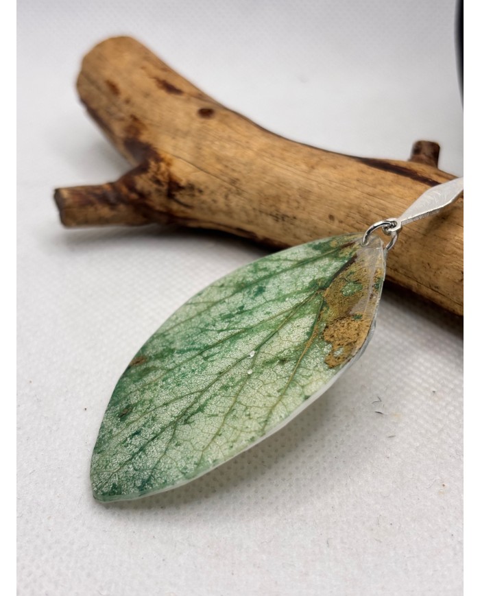 PENDIENTES ARTESANOS DE HOJA NATURAL ESQUELETIZADA
