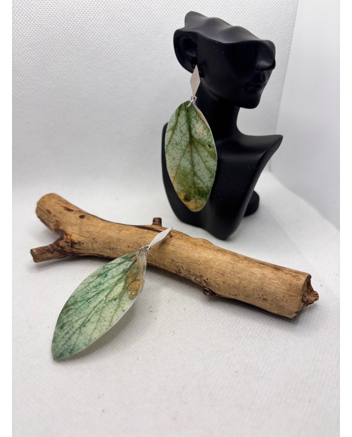 PENDIENTES ARTESANOS DE HOJA NATURAL ESQUELETIZADA