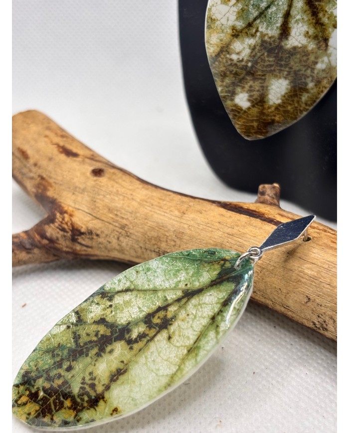 PENDIENTES ARTESANOS DE HOJA NATURAL ESQUELETIZADA