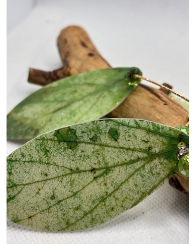 PENDIENTES ARTESANOS DE HOJA NATURAL ESQUELETIZADA