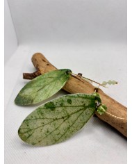 PENDIENTES ARTESANOS DE HOJA NATURAL ESQUELETIZADA