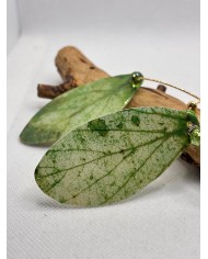 PENDIENTES ARTESANOS DE HOJA NATURAL ESQUELETIZADA