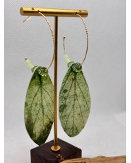 PENDIENTES ARTESANOS DE HOJA NATURAL ESQUELETIZADA