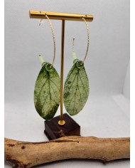 PENDIENTES ARTESANOS DE HOJA NATURAL ESQUELETIZADA