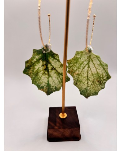 PENDIENTES ARTESANOS DE HOJA NATURAL ESQUELETIZADA