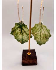 PENDIENTES ARTESANOS DE HOJA NATURAL ESQUELETIZADA