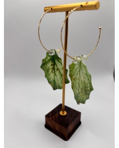 PENDIENTES ARTESANOS DE HOJA NATURAL ESQUELETIZADA