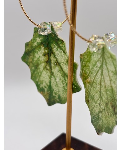 PENDIENTES ARTESANOS DE HOJA NATURAL ESQUELETIZADA