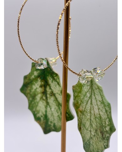 PENDIENTES ARTESANOS DE HOJA NATURAL ESQUELETIZADA