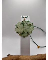 COLLAR ARTESANO DE HOJA NATURAL ESQUELETIZADA