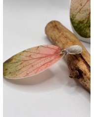 PENDIENTES ARTESANOS DE HOJA NATURAL ESQUELETIZADA
