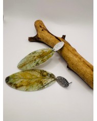 PENDIENTES ARTESANOS DE HOJA NATURAL