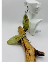 PENDIENTES ARTESANOS DE HOJA NATURAL