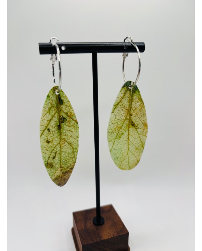 PENDIENTES ARTESANOS DE HOJA NATURAL