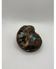 PENDIENTES ARTESANOS DE CRISTAL MARINO EDICIÓN PLATA