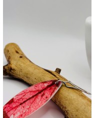 PENDIENTES ARTESANOS DE HOJA NATURAL ESQUELETIZADA