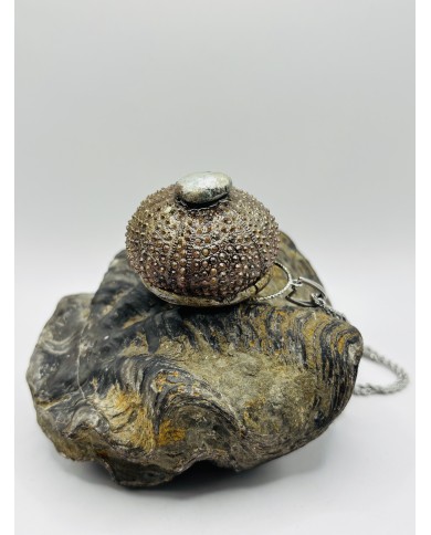 COLLAR ARTESANO DE ERIZO DE MAR NATURAL