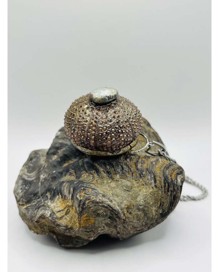 COLLAR ARTESANO DE ERIZO DE MAR NATURAL