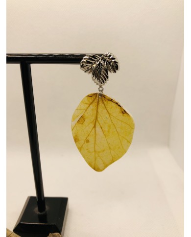 EDICIÓN LIMITADA RODIO pendientes de hoja natural de álamo