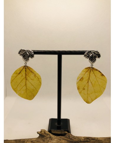EDICIÓN LIMITADA RODIO pendientes de hoja natural de álamo
