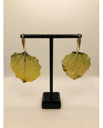 EDICIÓN LIMITADA RODIO pendientes de hoja natural