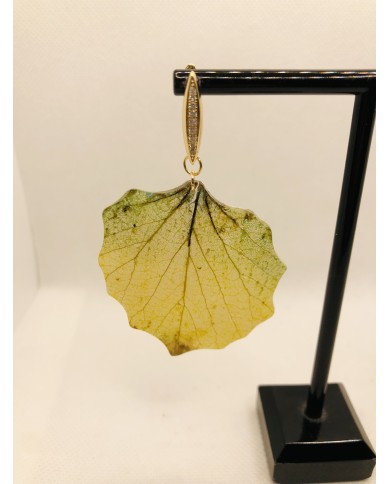 EDICIÓN LIMITADA RODIO pendientes de hoja natural