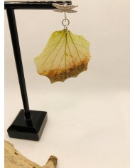 EDICIÓN LIMITADA pendientes de hoja natural  artesanos