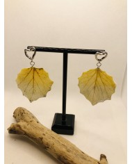 EDICIÓN LIMITADA pendientes de hoja natural