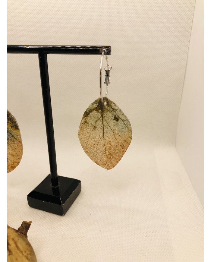 EDICIÓN LIMITADA pendientes de hoja natural esqueletizada