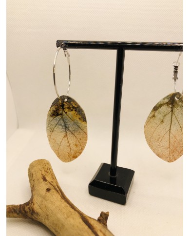 EDICIÓN LIMITADA pendientes de hoja natural esqueletizada