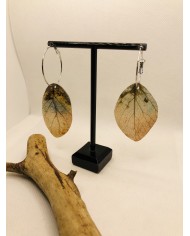 EDICIÓN LIMITADA pendientes de hoja natural esqueletizada