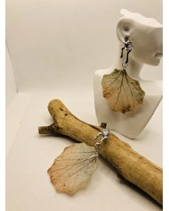 EDICIÓN LIMITADA pendientes de hoja natural esqueletizada